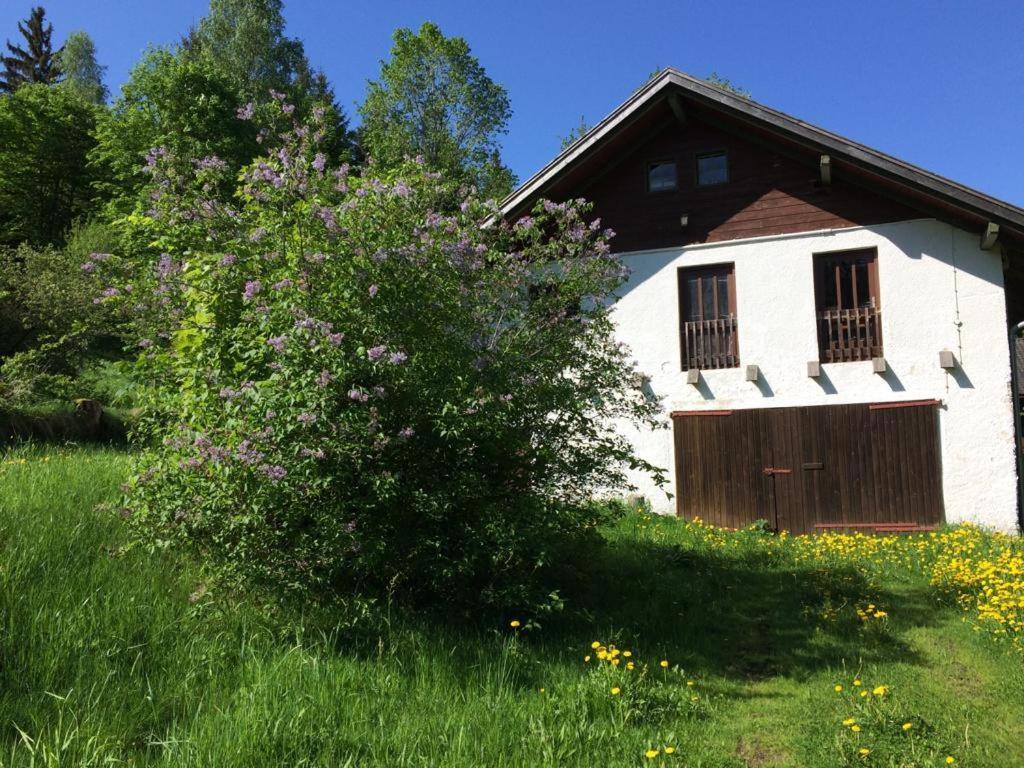 Ferienwohnung Gut Eschlsaign Arrach Exterior photo